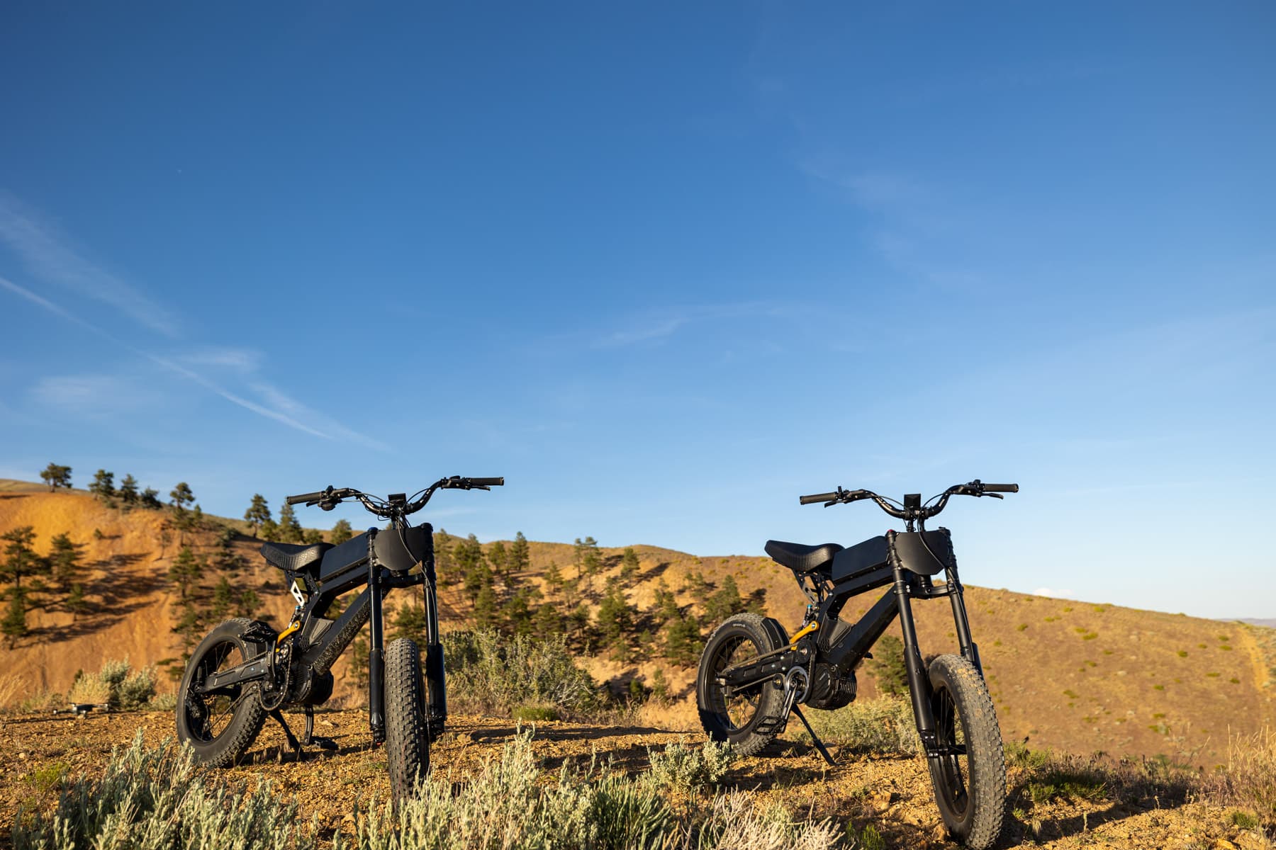 Surfline SL front fork compressed mid-ride showing full suspension travel